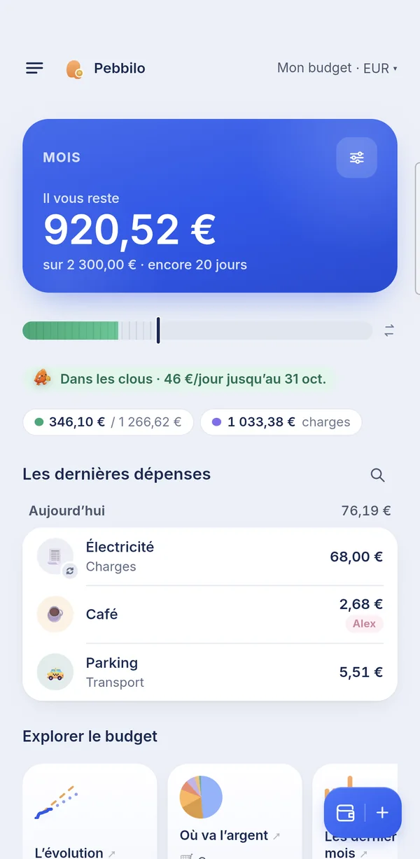 L'accueil : il vous reste 921 € sur 2 300 €, dans les clous à 46 € par jour